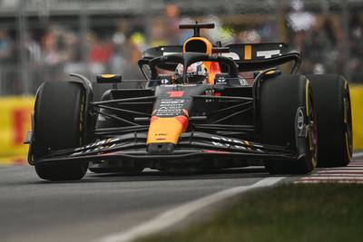 Door Max Verstappen aangereden vogel zat tijdens race klem in remkanaal: ‘Geen fraai gezicht’