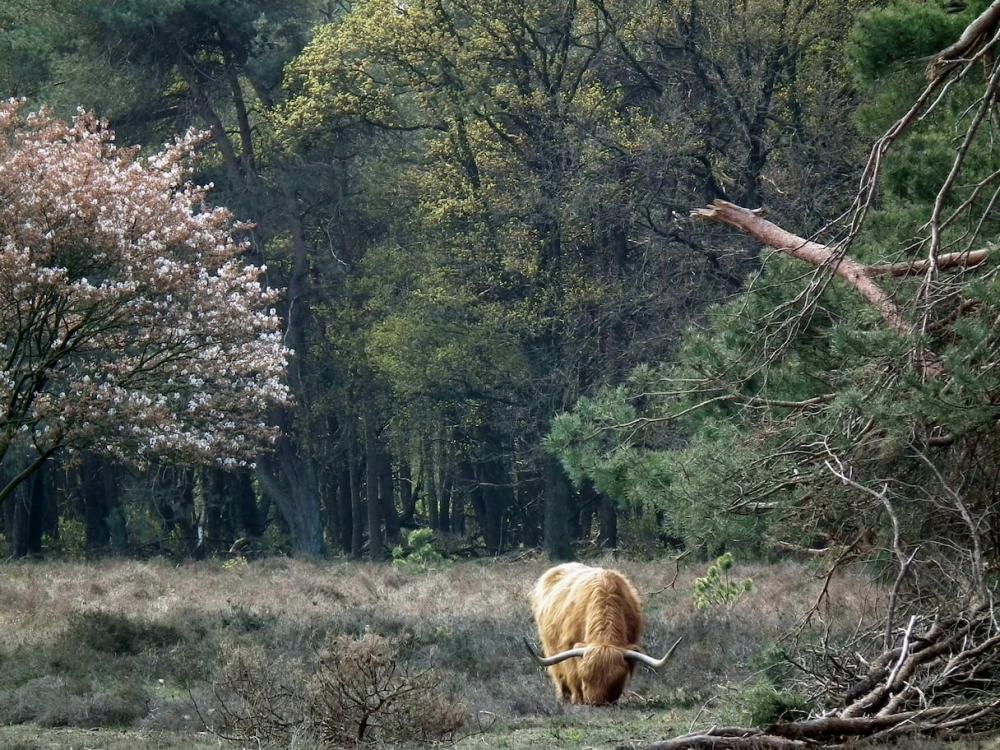 Bericht van de brandweer: natuurbrandrisico fase 2