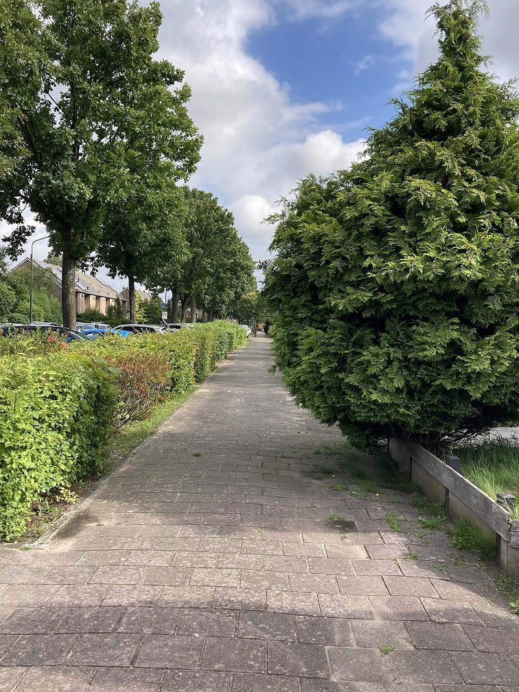 Overhangend groen bij particuliere tuinen