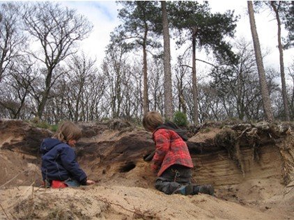 Gemeente Huizen blijft enthousiast over een natuurspeelbos in Sijsjesberg