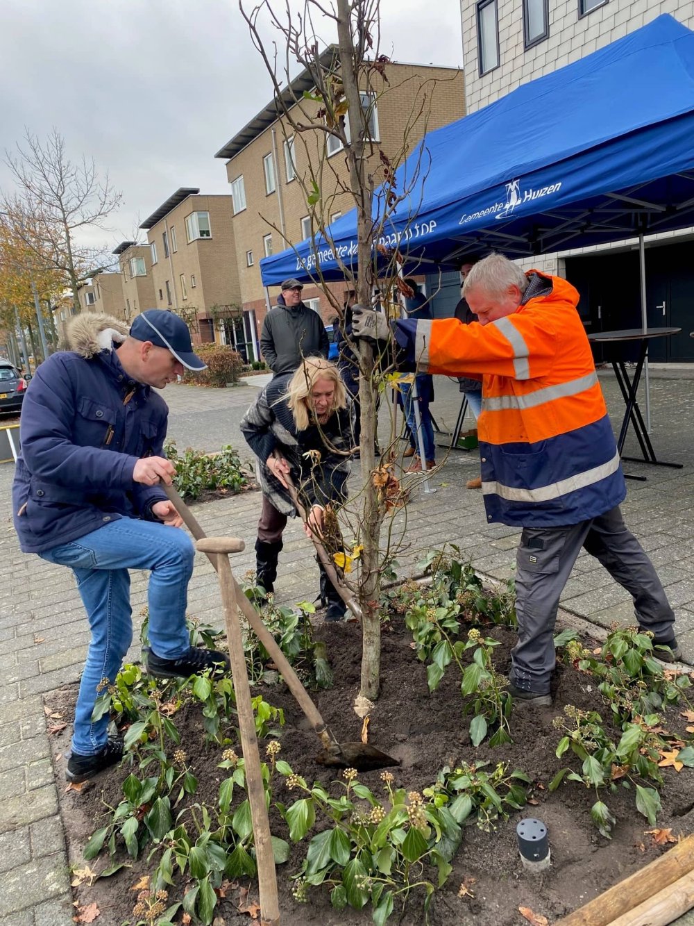 Wethouder plant nieuwe bomen Aristoteleslaan