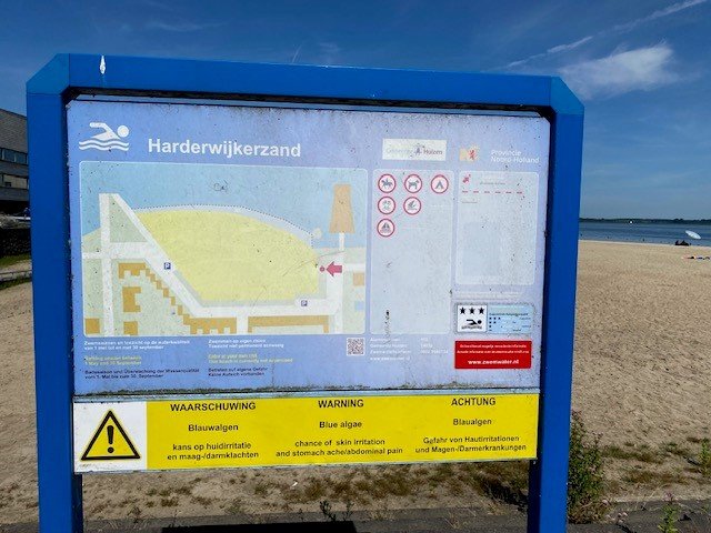 Blauwalg op strand Hardwijkerzand