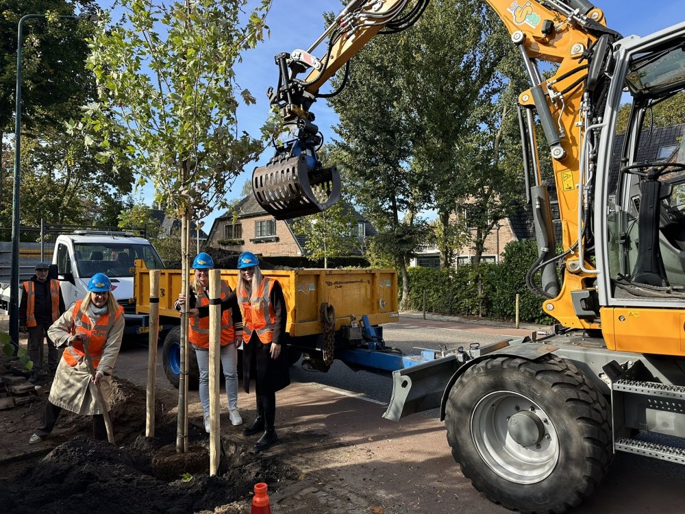 Bomen planten en vergroenen Nieuwe Bussummerweg