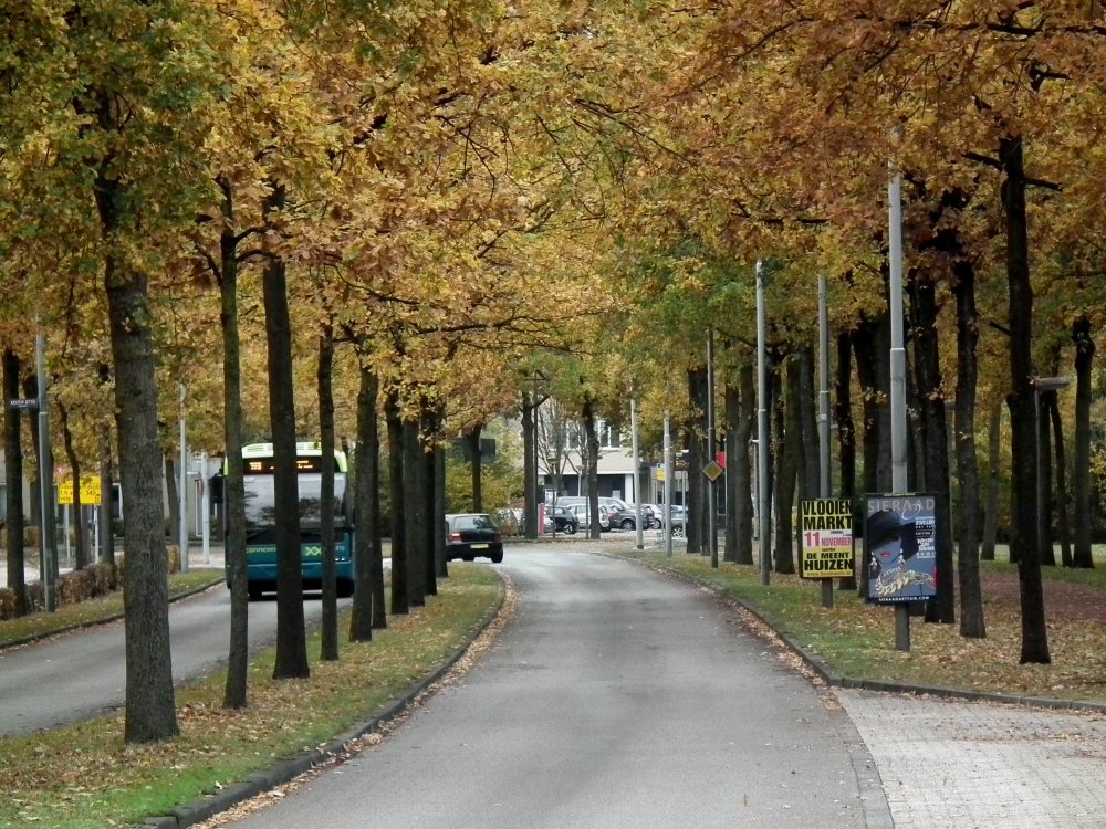 Verkeerstellingen op hoofdwegen in Huizen